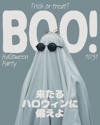 .
🎃🦇*⌒† HALLOWEEN †⌒*🦇🎃

気づけば HALLOWEEN目前!!
皆様 準備は出来てますか??!!

#高山ペットショップ東広島店 では
まだ 間に合う!! HALLOWEENグッズ
をたくさん 取り扱っております🎃!!!

是非とも!ご来店ください🎃!!!

#高山ペットショップ #高山ペットショップ東広島店
#広島 #東広島 #広島ペットショップ 
#ハロウィングッズ #HALLOWEEN
#トリミングのお客様もハロウィン仕様のバンダナです🫶 
#ハロウィンって可愛いからとても好き🫶
#ハロウィンを全力で楽しむスタッフおります。