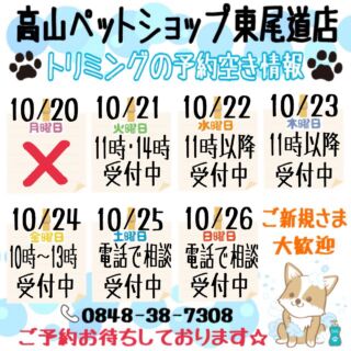 .

#高山ペットショップ東尾道店 の
#トリミング 10/20〜10/26の予約空き情報です🐶🐱
予約お待ちしております✨

#高山ペットショップ東尾道店
#高山ペットショップ
#トリミング
#シャンプーコース
#ベーシックコース
#カットコース
#予約受付中